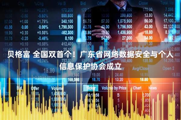 贝格富 全国双首个!广东省网络数据安全与个人信息保护协会成立