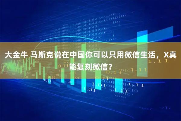 大金牛 马斯克说在中国你可以只用微信生活,X真能复刻微信?