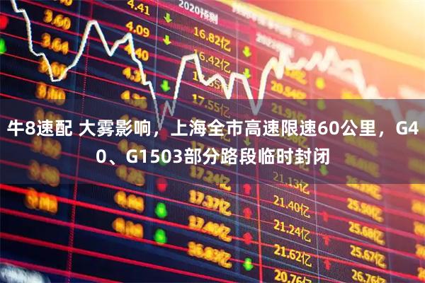 牛8速配 大雾影响，上海全市高速限速60公里，G40、G1503部分路段临时封闭