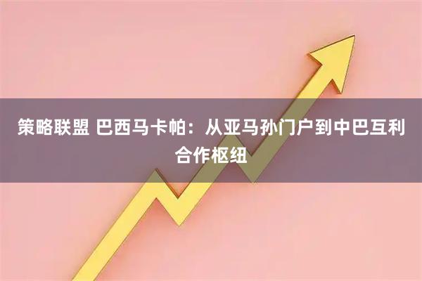 策略联盟 巴西马卡帕：从亚马孙门户到中巴互利合作枢纽